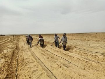 مصر تطلق المنصة الوطنية لتقنين أراضي الدولة.. التقديم إلكترونيا لمدة 6 أشهر