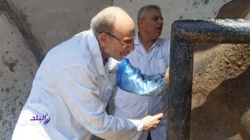 بيطري الغربية: تحصين 125 ألف رأس ماشية ضد الحمى القلاعية