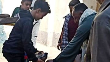 حملات ميدانية لتعقيم وتطعيم الكلاب الضالة في المحافظات.. تفاصيل