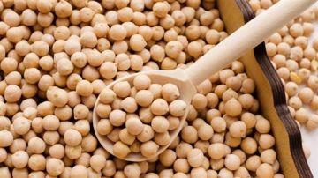 مصر تعتمد تدريجيا على الصويا الأمريكي بعد تراجع الإمدادات الأوكرانية