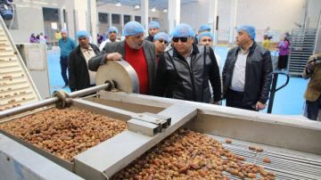 محافظ الوادي: فتح أسواق جديدة للتمور في الأسواق الإقليمية والدولية محافظ الوادي: فتح أسواق جديدة للتمور في الأسواق الإقليمية والدولية