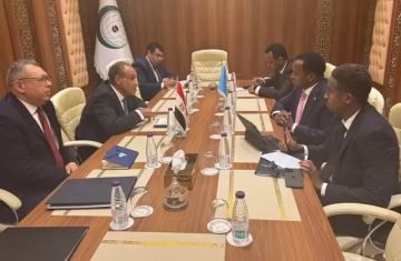 وزير الخارجية يؤكد لنظيره الصومالي التزام مصر بمواصلة تقديم الدعم لبناء المؤسسات الصومالية صور