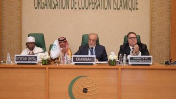 اعتراف مرفوض.. منظمة التعاون الإسلامي لإسرائيل: لن نسمح بتفكيك الدول