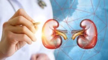 8 نصائح ذهبية تحميك من أمراض الكلى وتحافظ على صحتها لسنوات
