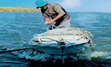 استئناف حركة الصيد بالبحيرة بعد تحسن طفيف في الأحوال الجوية