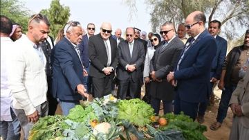 الجامعة البريطانية في مصر تطلق مشروعا رائدا لتحويل المخلفات الزراعية إلى علف حيواني