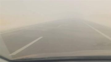 عاصفة ترابية على طريق تنيدة منفلوط بالوادي الجديد.. وتحذيرات للسائقين