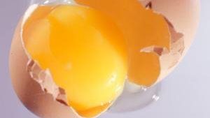 مش فساد ولا خطر.. علامة تؤكد أن البيض طازج