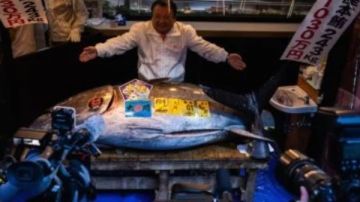 أول مزادات 2026.. بيع سمكة تونة عملاقة مقابل 3.2 مليون دولار فى اليابان أول مزادات 2026.. بيع سمكة تونة عملاقة مقابل 3.2 مليون دولار فى اليابان