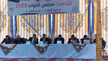 المنيا.. نتيجة الحصر العددي للدائرة الخامسة بملوي