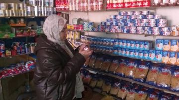 حملة موسعة بكفر البطيخ لضبط الأسواق والتأكد من سلامة السلع الغذائية