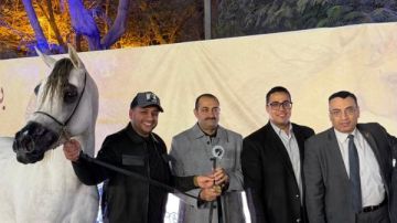 اختتام بطولة فخر مصر بنادي الجزيرة لجمال الخيول العربية الأصيلة.. صور اختتام بطولة فخر مصر بنادي الجزيرة لجمال الخيول العربية الأصيلة.. صور