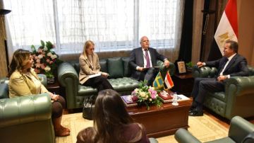 لدعم التعاون.. وزير الصحة : استقدام خبراء سويديين لزيارة المستشفيات المصرية