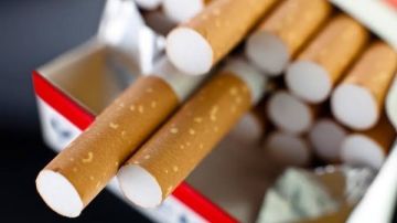 مفيش زيادات.. أسعار السجائر اليوم الجمعة 30 يناير 2026 للمستهلك مفيش زيادات.. أسعار السجائر اليوم الجمعة 30 يناير 2026 للمستهلك