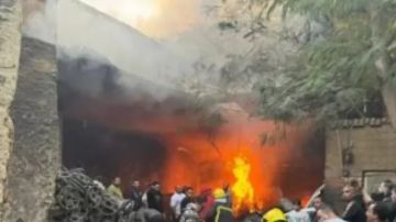 التحقيق في حريق نخيل بكلية الزراعة جامعة القاهرة