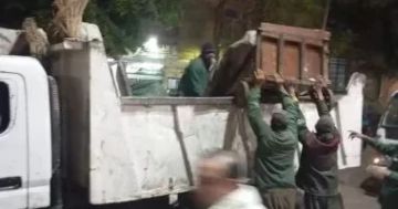الجيزة تتحرك لوقف فوضى القمامة.. ضبط كارو وتروسيكلات ورفع 250 طن مخلفات