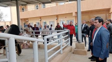 باستثمارات أكثر من 75 مليون جنيه.. محافظ المنوفية يتابع آليات التشغيل التجريبي لمجازر 3 مراكز صور