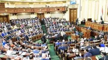 برلمان 2026.. من هم الـ5 المعينون بمجلس النواب ؟