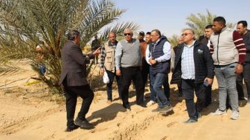 خلال زيارته للفرافرة.. الزملوط يتفقد عددا من المشروعات الزراعية بسهل بركة