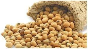 فوائد خارقة .. لن تتوقع تأثير فول الصويا على الجسم