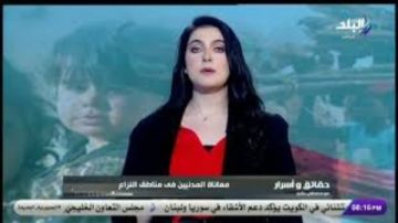 روان أبو العينين: قانون الكهرباء هدفه حماية الشبكة القومية والحد من إهدار الطاقة