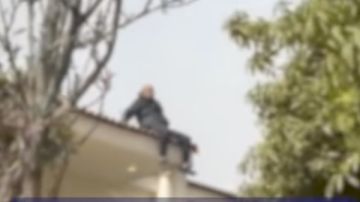 سقط من أعلى سطح فيلا.. رحلة نصاب الأراضي من القليوبية للشيخ زايد سقط من أعلى سطح فيلا.. رحلة نصاب الأراضي من القليوبية للشيخ زايد