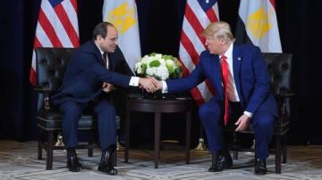 مصر ترحب بالمشاركة في مجلس السلام.. بسمة وهبة: احترام متبادل كبير بين الرئيس السيسي وترامب