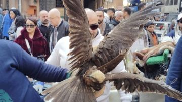 وزارة البيئة: ضبط طيور وحيوانات برية محظور تداولها في سوق ديانا بالأزبكية