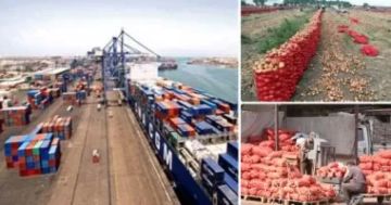 215 ألف طن صادرات غذائية.. والسعودية على رأس الدول المستقبلة