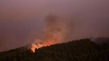 تطورات حرائق الغابات في تشيلي.. 23 ضحية ودمار يلتهم آلاف الأفدنة