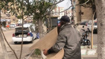 زهور بورسعيد يضرب بيد من حديد على المقاهي المخالفة شاهد