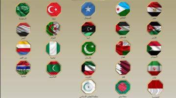 وزراء خارجية 22 دولة يدينون زيارة مسؤول إسرائيلي إلى إقليم أرض الصومال 