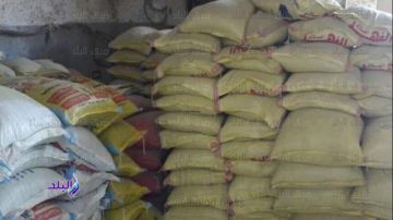 ضبط 4 أطنان أعلاف حيوانية مجهولة المصدر في حملات بالغربية
