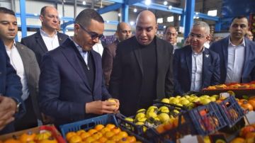 وزير الاستثمار من بنها: إزالة المعوقات ودعم المصانع الجادة لزيادة الانتاج وزير الاستثمار من بنها: إزالة المعوقات ودعم المصانع الجادة لزيادة الانتاج