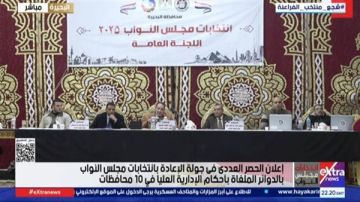 الحصر العددي لدائرة نصر النوبة.. تقدم محمد هلال بانتخابات مجلس النواب