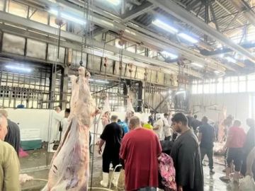 وزيرة التنمية المحلية تعلن التشغيل التجريبى لـ4 مجازر بالمنوفية والدقهلية وكفر الشيخ تفاصيل