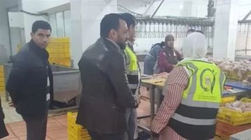 سلامة الغذاء ينفذ حملات تفتيشية على الأسواق بجميع المحافظات سلامة الغذاء ينفذ حملات تفتيشية على الأسواق بجميع المحافظات