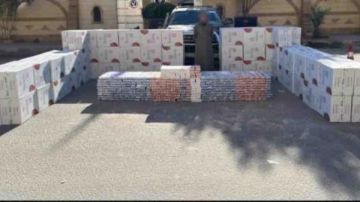 ضبط 13 تاجر سجائر لبيعها بازيد من سعرها في حملات تموينية بالغربية ضبط 13 تاجر سجائر لبيعها بازيد من سعرها في حملات تموينية بالغربية