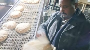 الدقهلية: ضبط 7 أطنان من منتجات متنوعة وتحرير 265 مخالفة تموينية في حملات تموينية