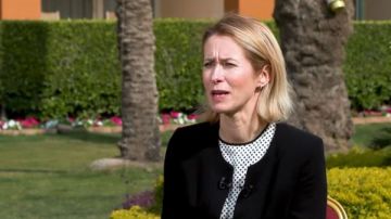 المسؤولة الأوروبية: استقرار الشرق الأوسط مصلحة مشتركة ونثمن الدور المحوري لمصر