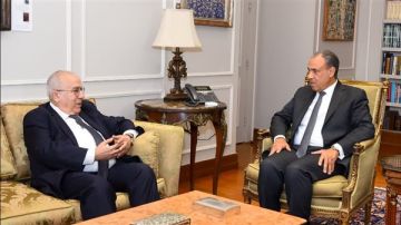 وزير الخارجية: مصر تواصل جهودها لوقف إطلاق النار ودعم الاستقرار في السودان