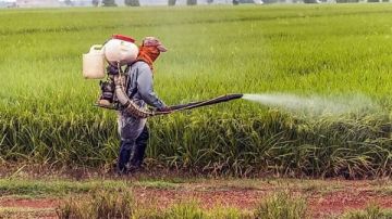 بعد شائعة وجود مبيدات غير صالحة في الخضروات والفاكهة.. هذه عقوبة نشر الأخبار الكاذبة