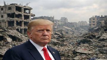 مطاوع: مجلس السلام اختبار حقيقي لإنهاء مأساة غزة فيديو