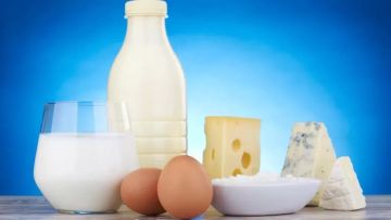 البيض البلدي يتراجع 5 جنيهات.. استقرار أسعار الألبان اليوم الثلاثاء 6 يناير 2026