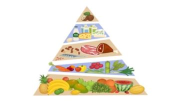 نصفه خضروات وفاكهة .. الصحة تعلن تغييرا جذريا في الهرم الغذائي للمصريين