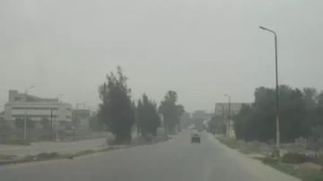 طقس الإسكندرية: شديد البرودة ليلا ودافئ نهارا بأغلب أنحاء المحافظة