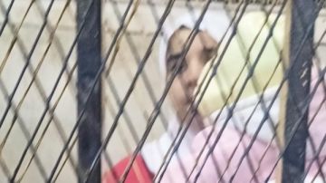 تأييد قرار إحالة أوراق المتهمة بقتـ.ل صغار دلجا وزوجها إلى المفتي