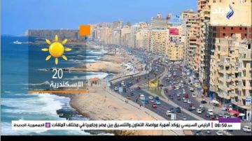 شبورة وأمطار.. حالة الطقس اليوم الأحد 4 يناير 2026