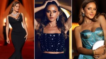 الباشا باشا .. حسن شاكوش يغني لـ نيللي كريم فيديو