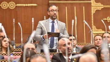 الحمامصي يقترح إشراك القطاع الخاص في معاهد التمريض لسد العجز ورفع كفاءة المنظومة الصحية